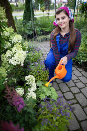 A saleswoman is watering a plant. Heuchera sanguinea.の写真素材