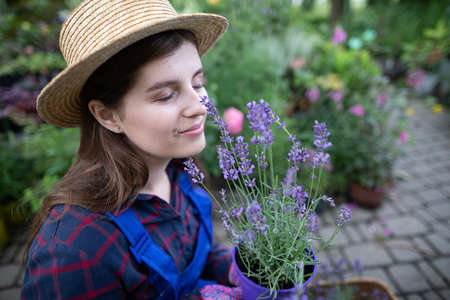 A worker sniffs flowering heather seedlings. Garden Shop.の写真素材