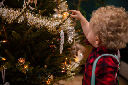 A two-year-old boy with blond curls hangs a bauble on a Christmas tree.の写真素材