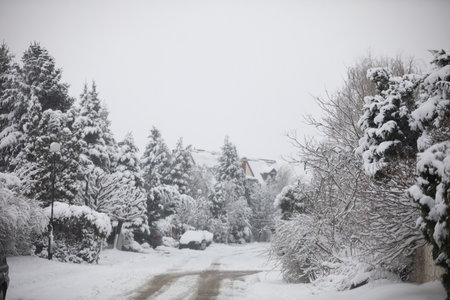 Estate road leading to buildings, covered with a thick layer of snowの写真素材