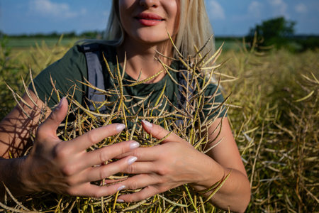 The female farmer embraces the rapeseed crops in the rapeseed field with her handsの写真素材