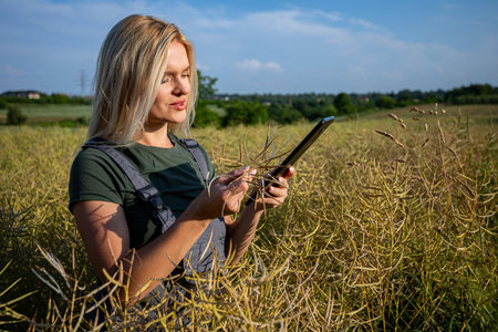 A woman farmer standing in the middle of rapeseed field and checking the information about a harvest on a tabletの写真素材