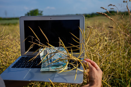 Laptop on Natures Stage Making a Digital Connection to the Breathtaking Outdoors