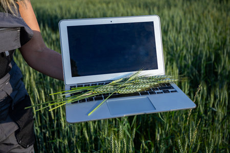 Sustainable Technology A Laptop Positioned in Lush Green Fields Surrounded by Nature and Floraの写真素材