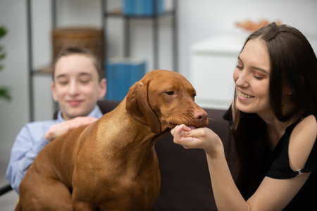 Enjoying Joyful Moments Together with a Happy Dog and Wonderful Friends All Aroundの写真素材