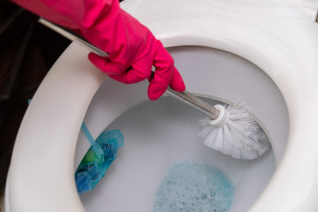 Effectively Utilizing Cleaning Supplies and a Toilet Brush for Optimal Hygiene in Action