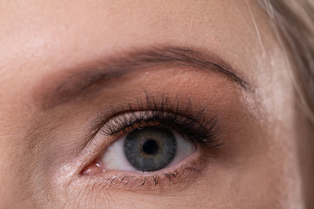 A Stunning CloseUp View of an Eye Featuring Makeup and Beautiful, Long Eyelashes