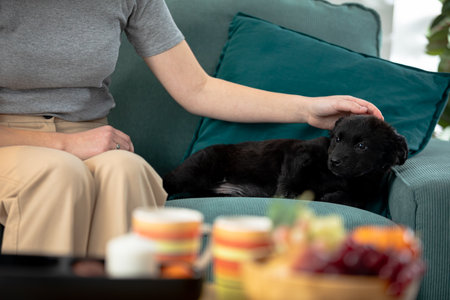 Enjoying Cozy Moments Petting a Sweet Black Dog While Relaxing on the Couch at Homeの写真素材