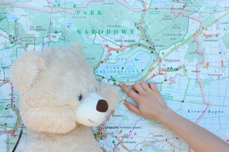 Embarking on an Exciting Journey through Nature with a Teddy Bear and a Colorful Map