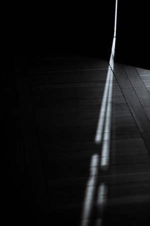 Ethereal Shadow Play in a Dark Room, where unique shapes and forms dynamically interact