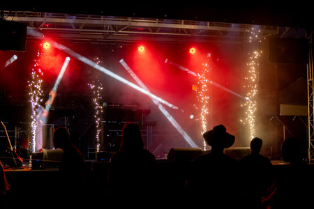 Enjoy a vibrant concert with a stunning light show and an enthusiastic audience
