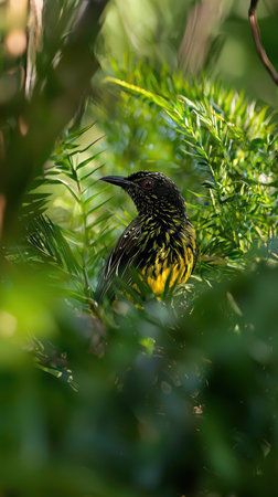 A Vibrant Bird Camouflaged Perfectly Among the Rich Green Foliage and Lush Flora Surrounding Itの素材