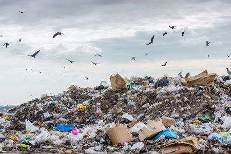 The Environmental Impact of Waste and Litter Accumulated in Urban Areas and Surroundingsの素材