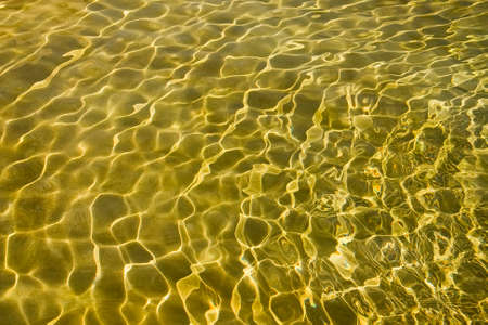 Rippling Lustrous Gold Water with Reflections of Light