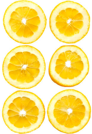 Lemon Fruit Slices Food Objects Isolated on Whiteの写真素材