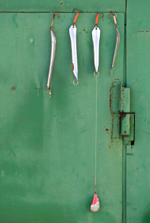 Four minnow on the green metal doorの写真素材