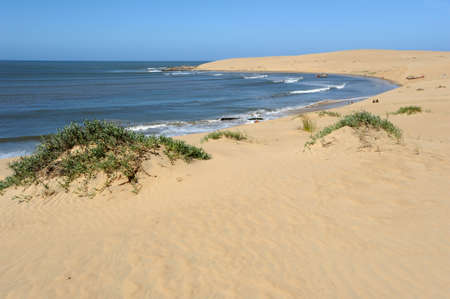 the beach of Valizas on the Uruguayan coastの写真素材