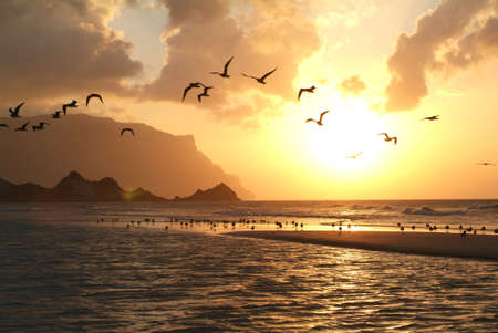 Qalansiya beach on Socotra island Unesco world heritage