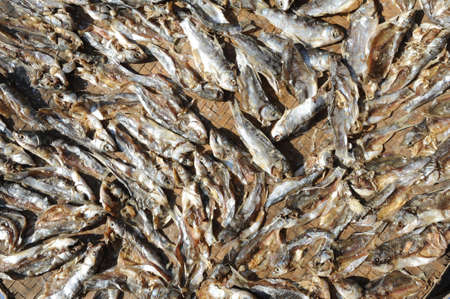drying fish of river Mekong at Don Khong islandの写真素材