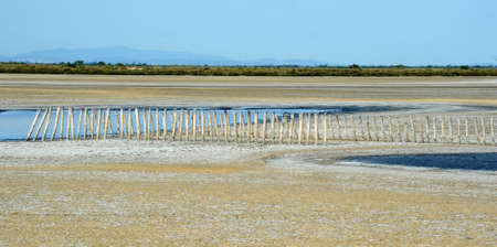 Landscape of Camargue on Franceの写真素材