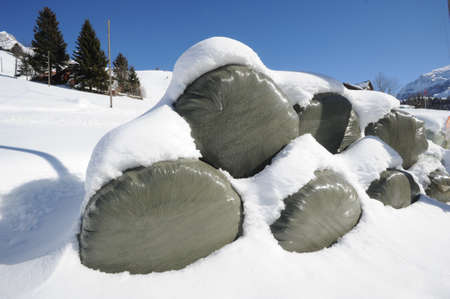 Mountain landscape at Engelberg on the Swiss alpsの写真素材