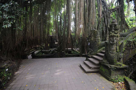 Monkey forest sanctuary at Ubud on the island of bali, Indonesia