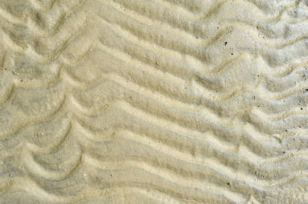 Sand for backgrounds and texture