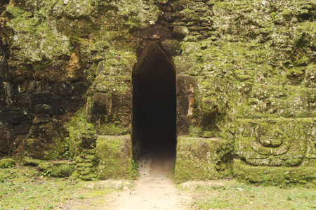 The Mayan ruins of Tikal on Guatemalaの写真素材