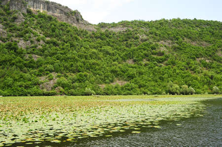 Lake Skadar national park on Montenegroの写真素材
