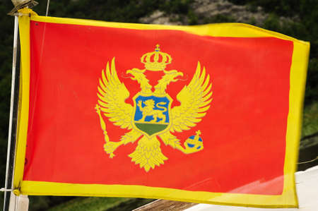 National flag of Montenegroの写真素材