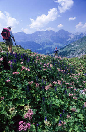 Engelberg, Switzerland - 6 August 2008: Tourists hiking on the mountains of Engelberg on the Swiss alpsのeditorial素材