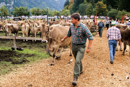 Engelberg, Switzerland - 6 August 2008: farmers during the exhibition of the cows at Engelberg on the Swiss Alpsのeditorial素材