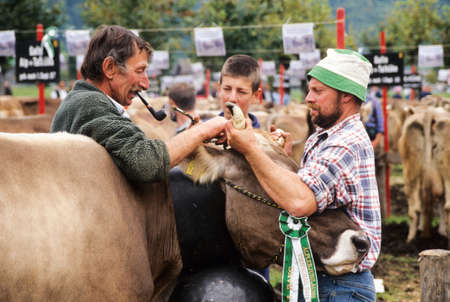 Engelberg, Switzerland - 6 August 2008: farmers during the exhibition of the cows at Engelberg on the Swiss Alpsのeditorial素材