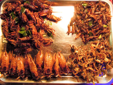 Fried insects on the market of Khao San Road on Bangkok, Thailandの写真素材