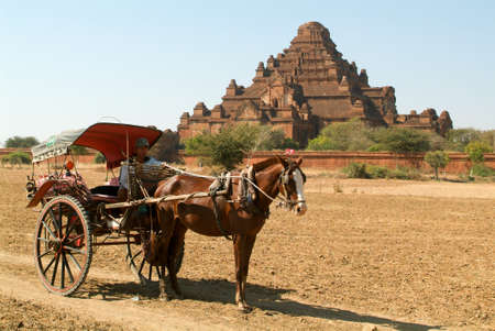 Bagan, Myanmar 24 January 2010: Man on hourse-drawn carriage in front of Dhammayangyi temple at the archaeological site of Bagan on Myanmarのeditorial素材