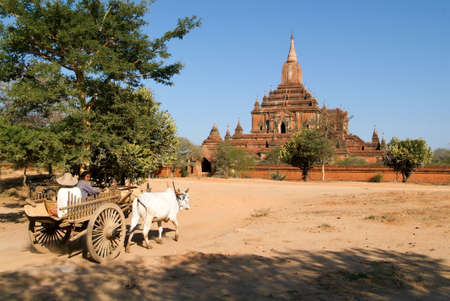 Bagan, Myanmar 23 January 2010: Farmer on a cow-drawn carriage in front of Sulamani temple at the archaeological site of Bagan on Myanmarのeditorial素材