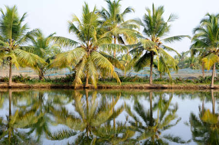 River of the backwaters at Kollam on Indiaの写真素材