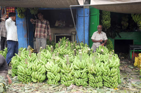 Mysore, India - 24 January 2015:  Indian vendors tend to their banana stall in the Devaraja fruit market at Mysore on Indiaのeditorial素材