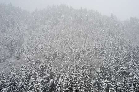Snowy landscape in Engelberg on the Swiss Alps