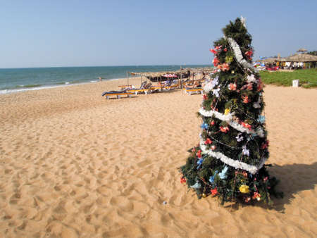 Candolim (Goa), India - 7 January 2015: People sunbatheing on the beach of Candolim in front of a chrismas treeのeditorial素材