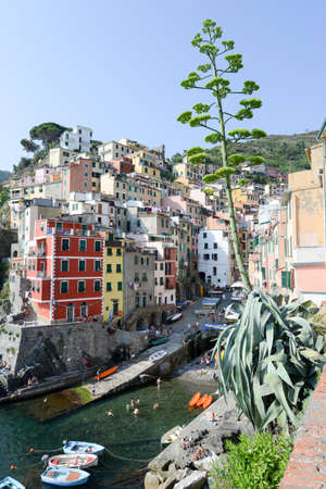 Riomaggiore, Italy - 7 July 2015: People swimming and sunbathing at the town of Riomaggiore on Italyのeditorial素材
