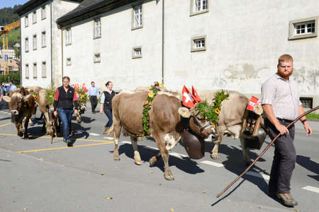 Engelberg, Switzerland - 26 September 2015: Farmers with a herd of cows on the annual transhumance at Engelberg on the Swiss alpsのeditorial素材