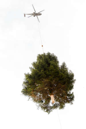 Lugano, Switzerland - 20 november 2015: Helicopter carrying a christmas treeのeditorial素材