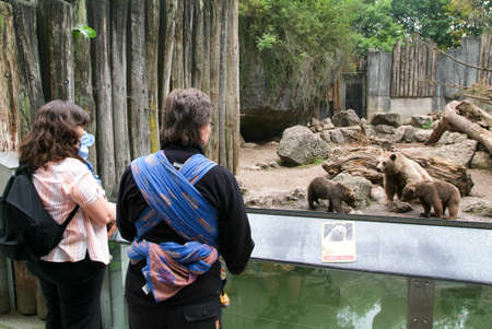 Goldau, Switzerland - 29 august 2008: people looking at brown bears in the zoo of Goldau on Switzerlandのeditorial素材
