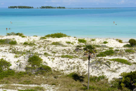 Cayo Guillermo, Cuba - 16 january 2016: people swimming in clear water of Cayo Guillermo beach, Cubaのeditorial素材