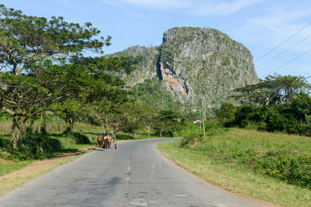 Vinales, Cuba - 25 january 2016: people conducting a carriage drawn by horses in the valley of Vinales on Cubaのeditorial素材