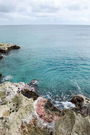 The coast of Playa Giron on the southern part of Cubaの写真素材