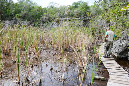 Giron, Cuba - 20 january 2016: ranger walking on the forest at Giron on Cubaのeditorial素材