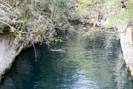 Giron, Cuba - 20 january 2016: people swimming on a cenote at Giron on Cubaのeditorial素材