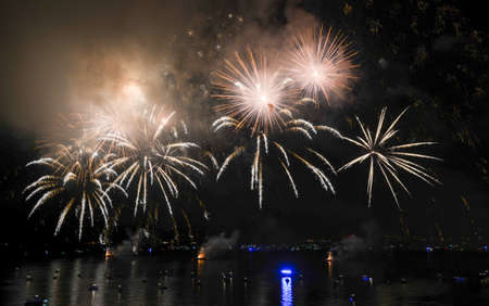 Brightly colorful fireworks in the night sky